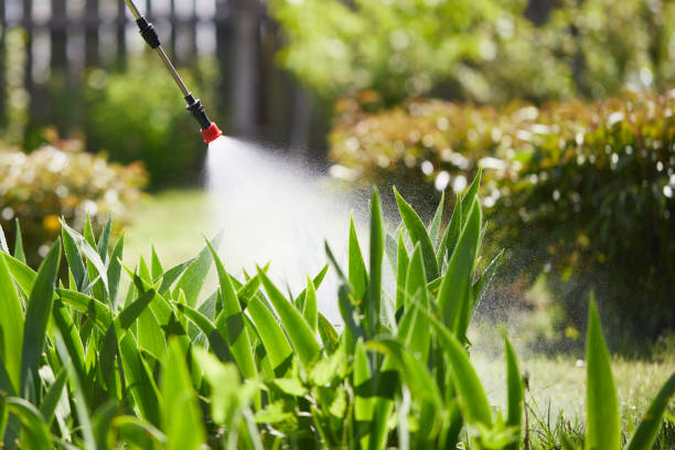 Tamper-Resistant Bait Stations for Rodents in Johnsonburg