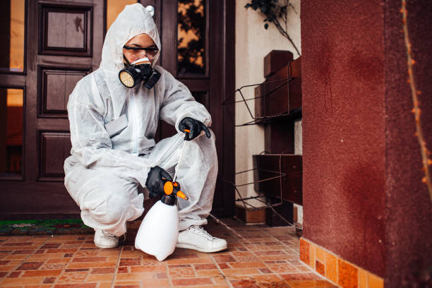 Attic and Crawl Space Rodent Treatment in Johnsonburg