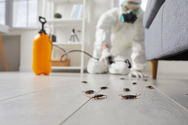 Commercial Rodent Management in Johnsonburg